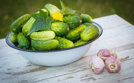 Pikle ogórkowe z musztardą: przepis