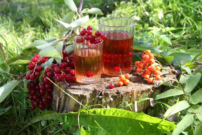 Kompot z jarzębiny: przetwory z jarzębiny